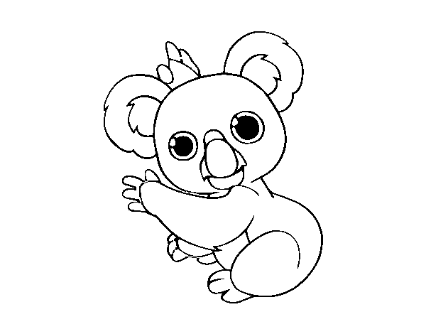 Desenho de Um coala para Colorir