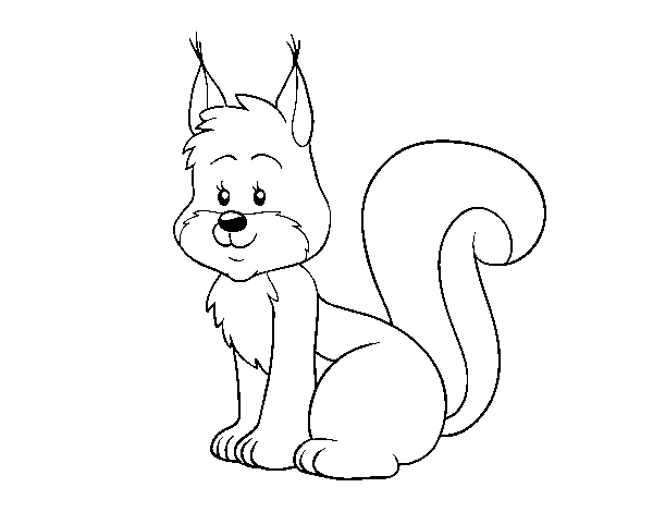 Desenho de Um esquilo para Colorir