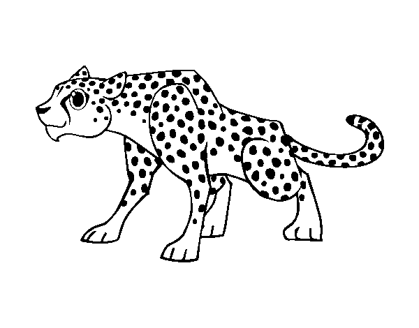 Desenho de Um guepardo para Colorir