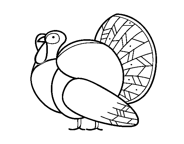 Desenho de Um peru para Colorir