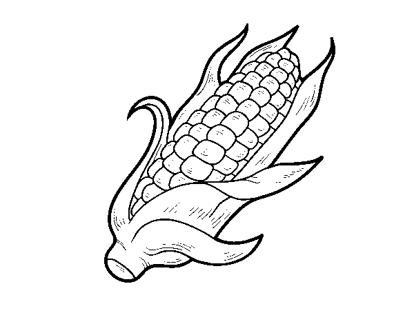Desenho de Um sabugo de milho para Colorir