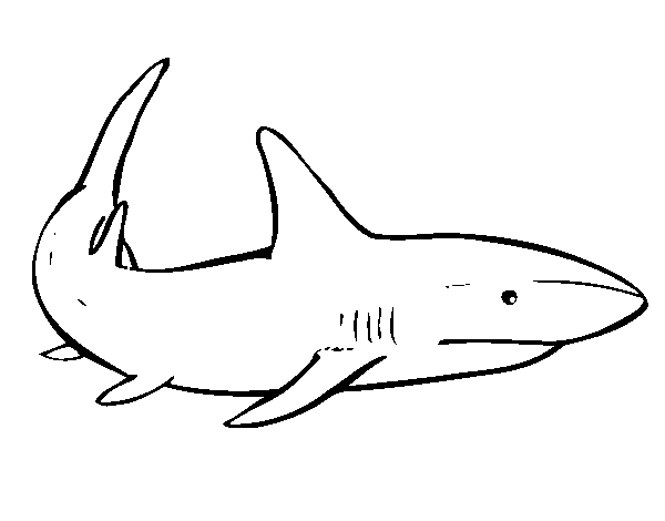 Desenho de Um tubarão nadando para Colorir