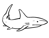 Desenho de Um tubarão nadando para colorear