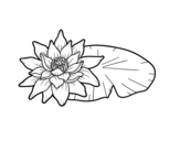 Desenho de Uma flor de lotus para colorear