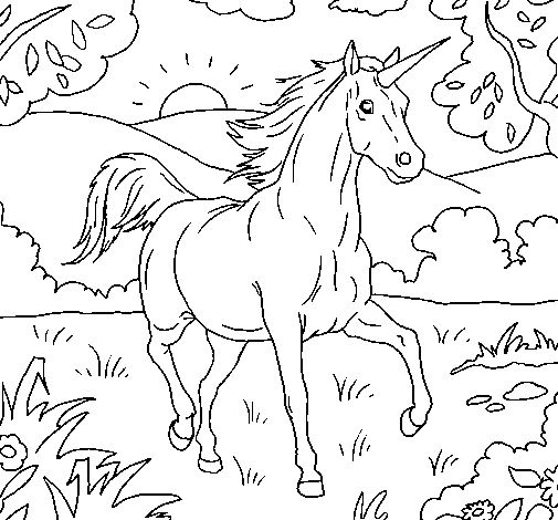 Desenho de Unicorn execução para Colorir