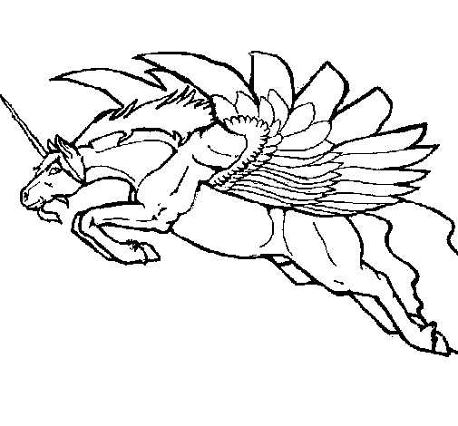 Desenho de Unicórnio alado para Colorir