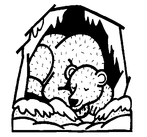 Desenho de Urso a hibernar para Colorir