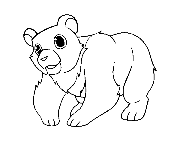 Desenho de Urso da montanha para Colorir