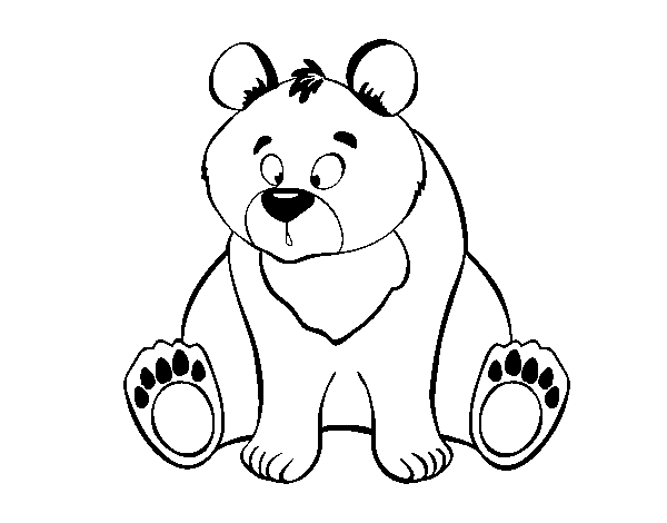 Desenho de Urso pardo para Colorir