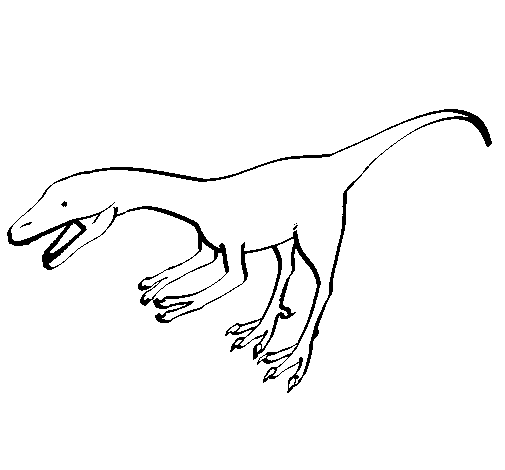 Desenho de Velociráptor II para Colorir