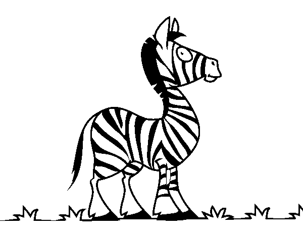 Desenho de Zebra africana para Colorir